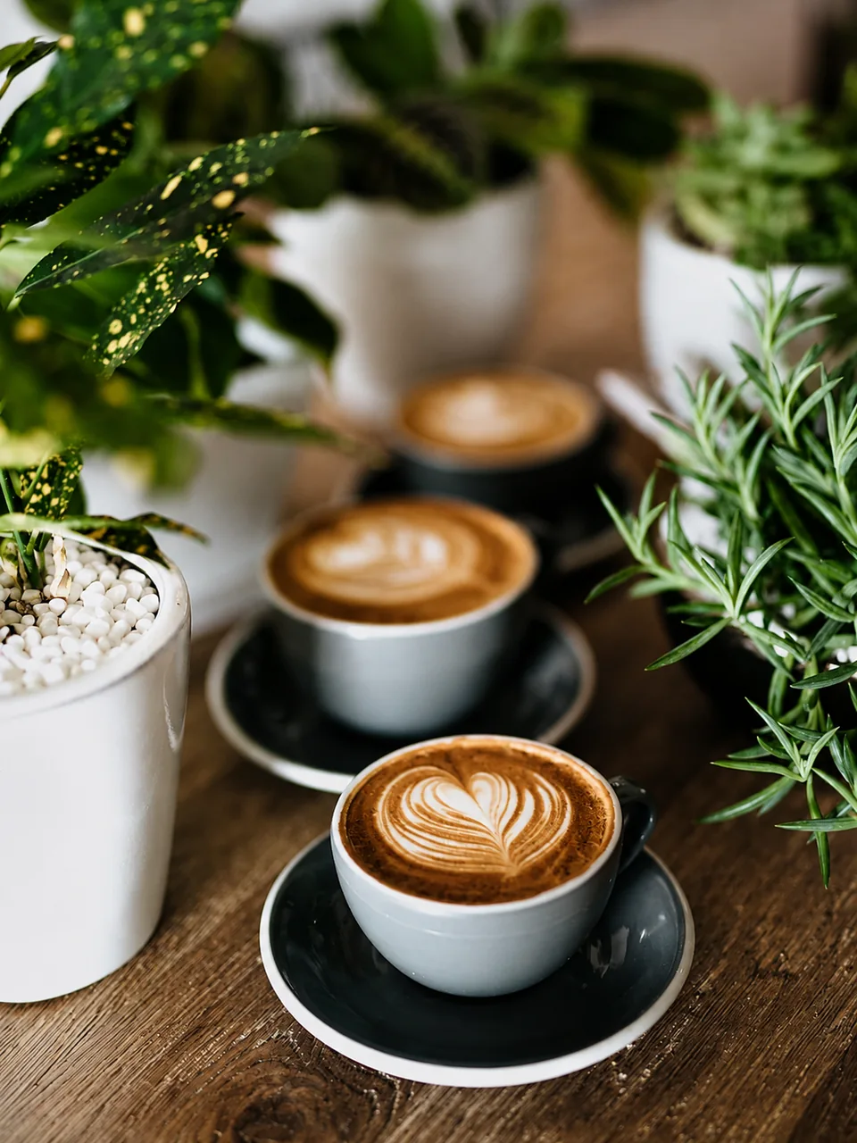Latte art among leafy plants on a wooden table